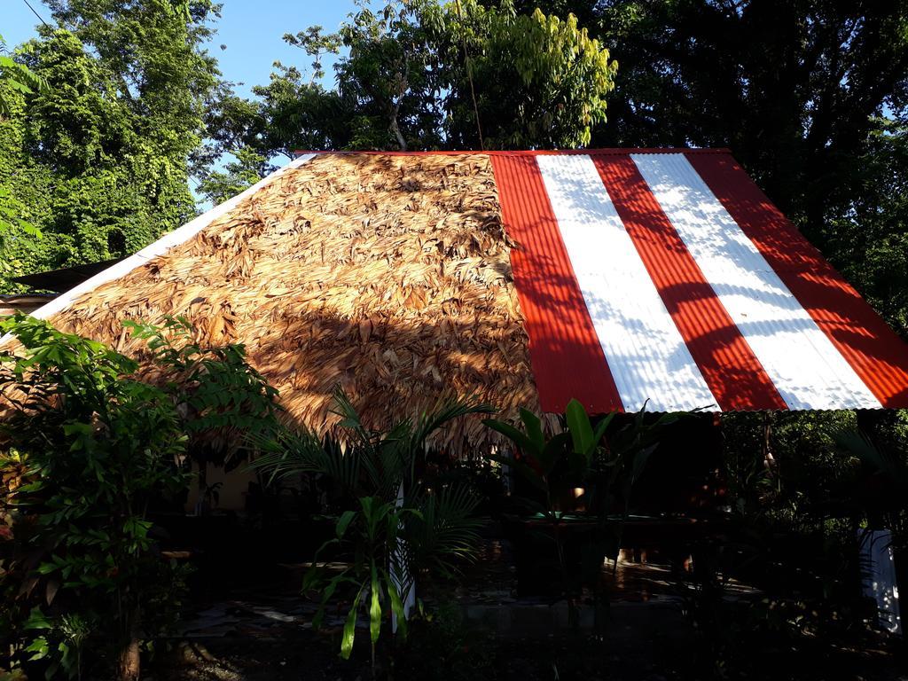 Talamanca Cabins Cahuita Exteriör bild